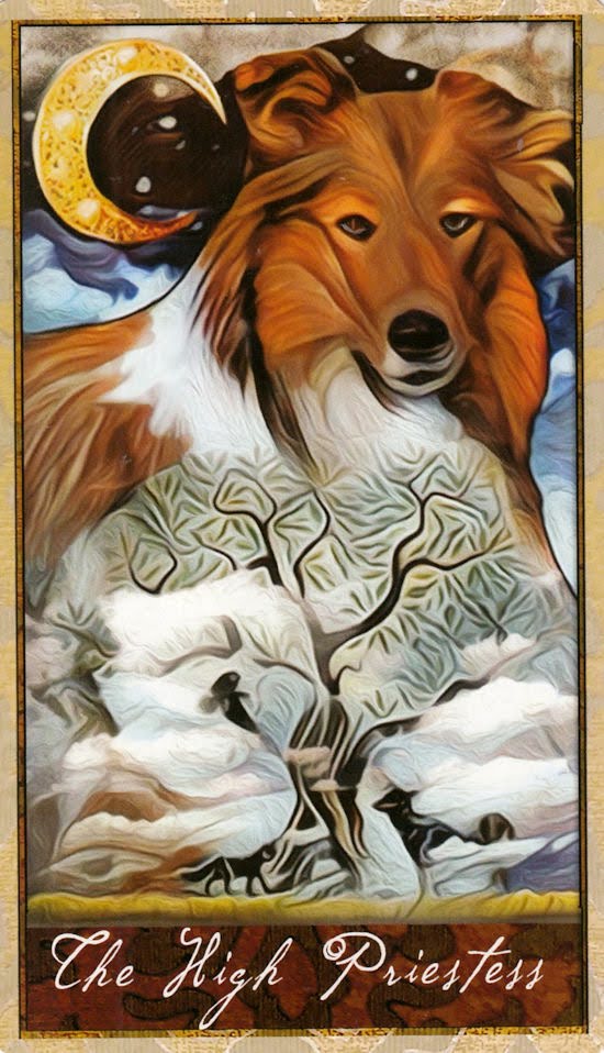 Wise Dog Tarot